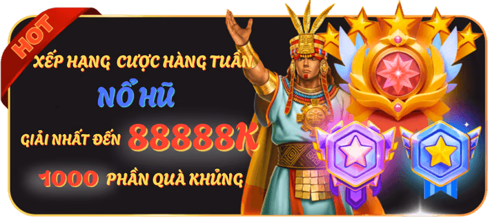 Hình ảnh quan sát gà trước trận