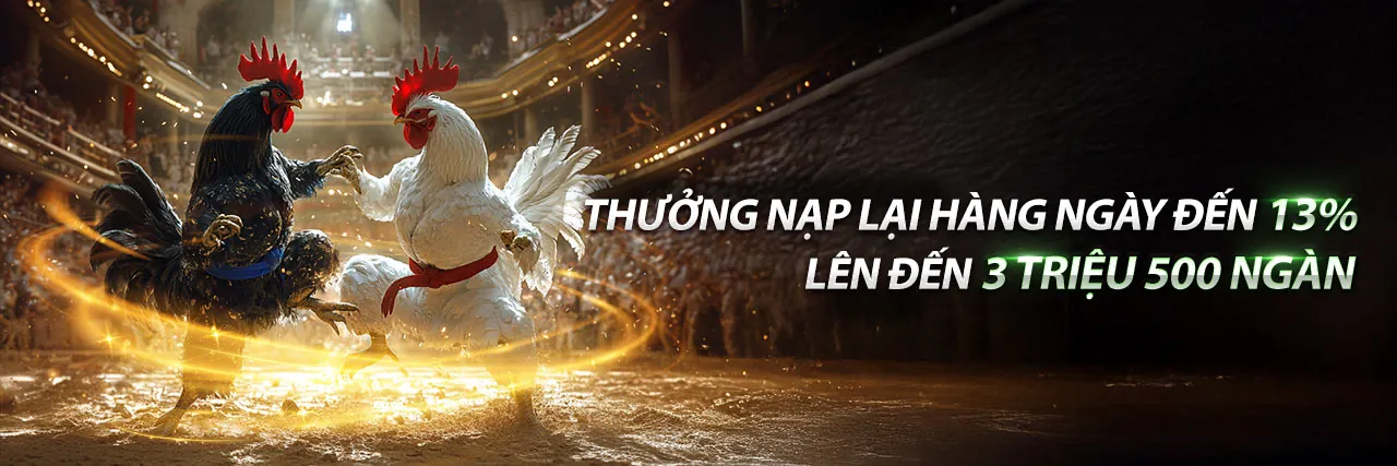 Hình ảnh đá gà trực tiếp kịch tính tại Số Đỏ Casino