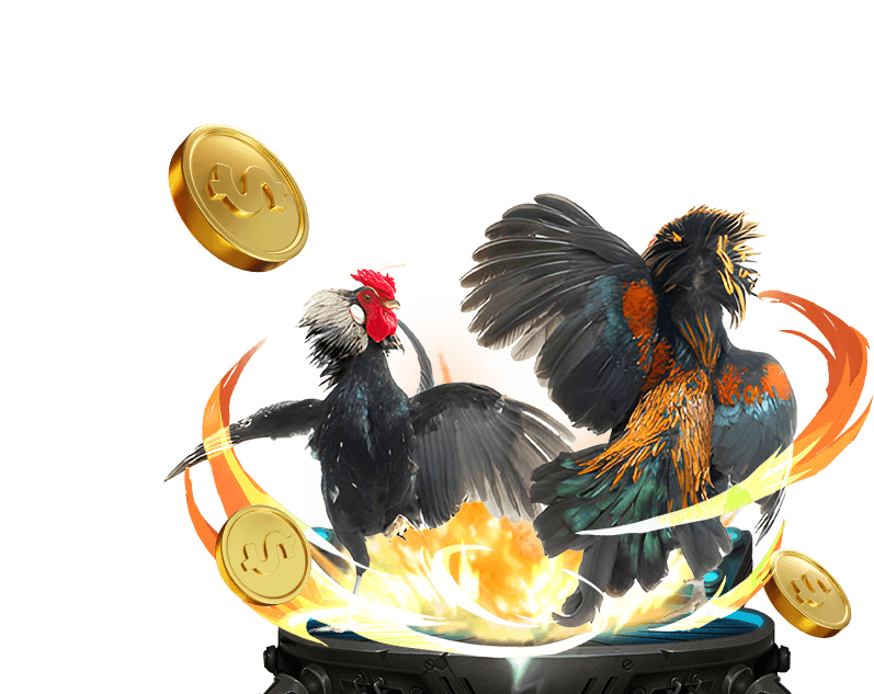 Gà đá cựa sắt