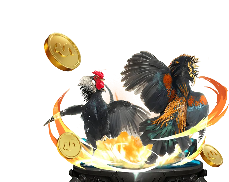 Gà đá cựa sắt